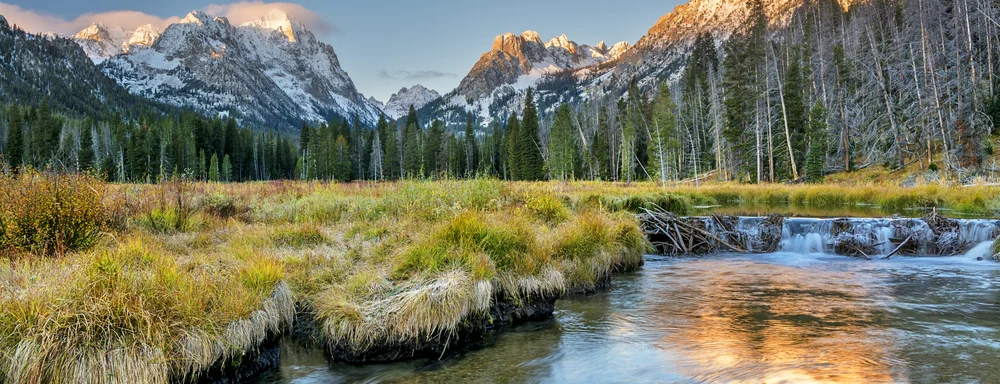 How to Open a Dispensary In Idaho